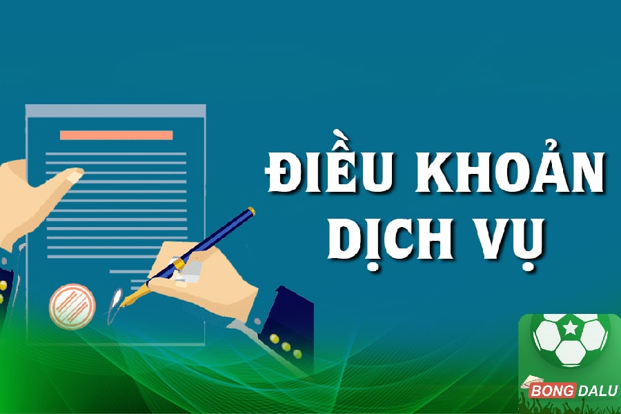 Tổng quan về điều khoản dịch vụ Bongdaluu