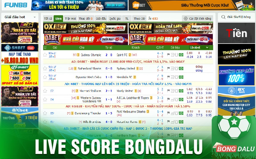 Sơ lược về trang website xem live score bongdalu