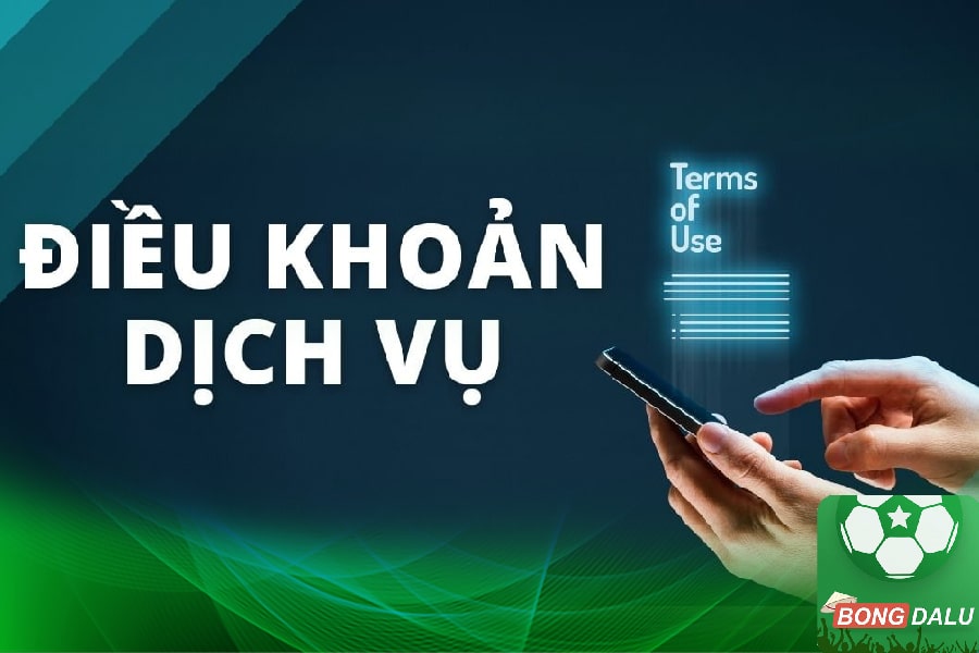 Điều khoản dịch vụ Bongdaluu cho bộ phận quản lý  