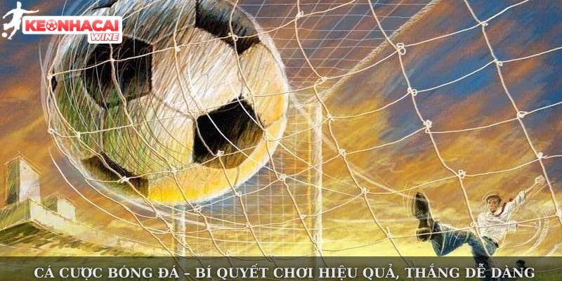 Một vài thông tin tổng quát về cá cược bóng đá